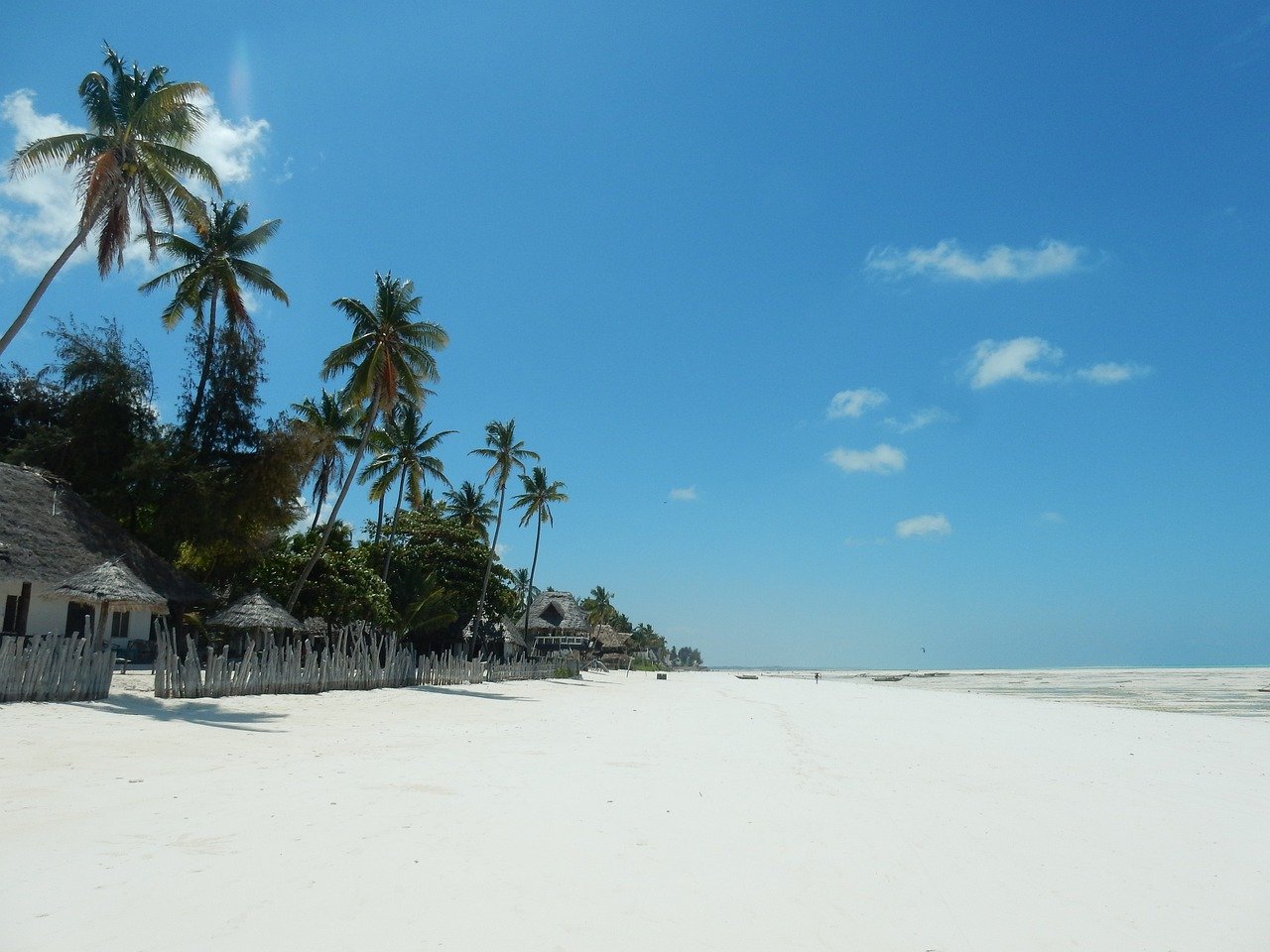 Read more about the article Dive into Zanzibar: Uncover the Island’s Hidden Thrills