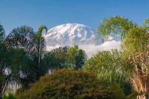 Read more about the article Embark on the Ultimate Kilimanjaro Adventure!